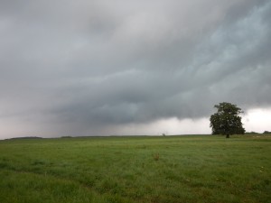 Schauspiel der Natur erleben...