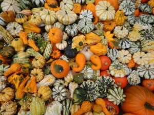 Herbst in der Eifel