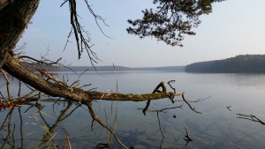 Stille am See