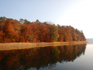 Herbst am Wasser